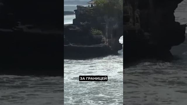 📍Ямальские школьники и педагоги вернулись после стажировки в Индонезии #shorts