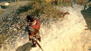Skyrim | Character Builds | Maximus "Gladiator"