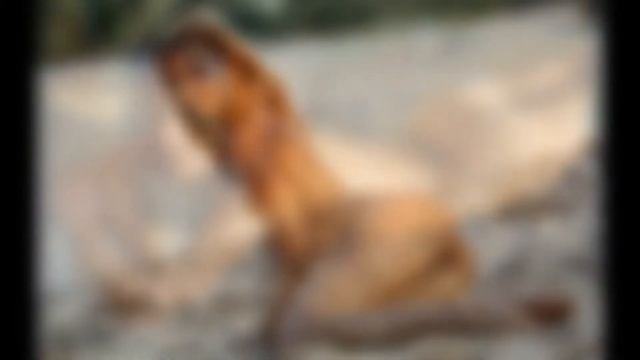 Девушки, солнце, пляж смотреть онлайн