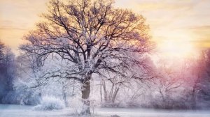 Релакс для сна,зимние пейзажи под расслабляющую музыку.