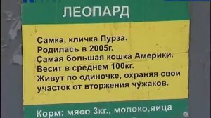 Зоопарк