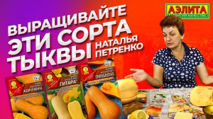 ТЫКВА: какие сорта выбрать? Рецепты вкусных блюд из тыквы.