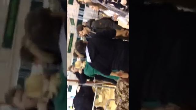 Акция на выставке животноводства на ВДНХ смотреть онлайн