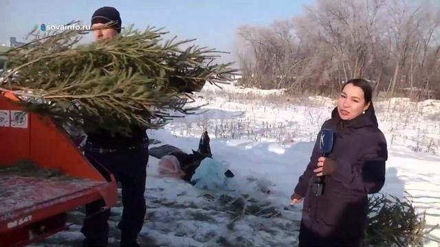 Сюжет ТРК Губерния про передачу щепы ЭкоСтройРесурса в конный клуб смотреть онлайн