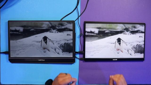 Intehill 15.6" Vs Lepow 15.6" Type C & HDMI Portable Monitor - 700 Nits Max Of Goodness смотреть онлайн