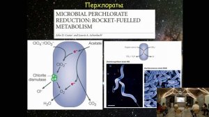 11. Перхлораты. Лекция