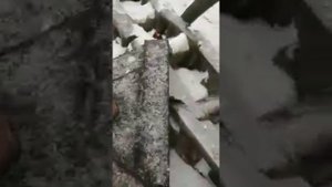 Разборка и сборка бортовой (замена доукона) на экскаваторе Komatsu PC 750