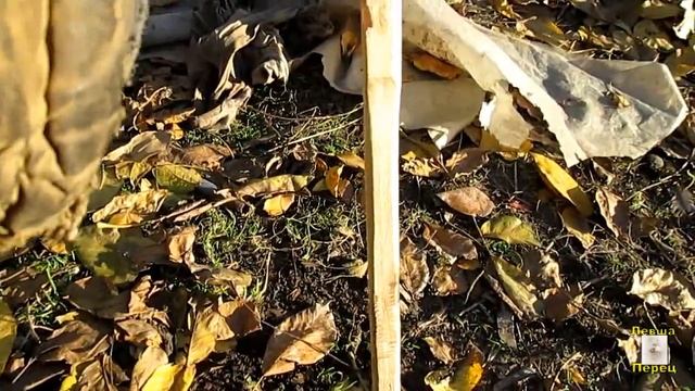 Как выберать хороший колун смотреть онлайн