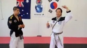 Hapkido/Grandmaster Noah Kim: Dan Bong (short stick) Basics