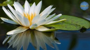 Осознанность. Перестань пытаться быть хорошим.