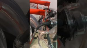 Доильный аппарат Волга на 2 коровы