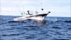 Рыбалка с катером Crestliner (Крестлайнер) / Fishing with Crestliner