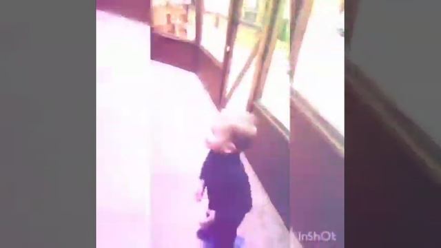 маки-паки,контактный зоопарк,Костику,1.11 смотреть онлайн