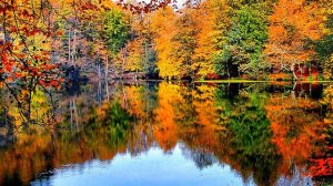 Любимый  Коран. Сура 1 и Сура  69 аяты 13-31