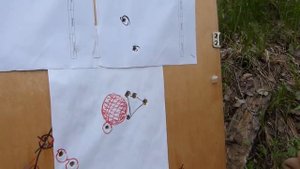 Отстрел СКС с новым ложем