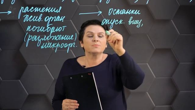 Природные источники углеводородов. 10 класс.