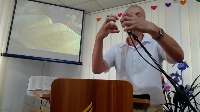 Что может быть важнее знания языка? Гаврюк Сергей. смотреть онлайн