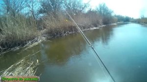 Ловим красноперку на попла поппер