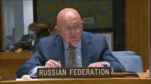 заседание совбеза оон, Небеньзя, Нагиев самый лучший фильм