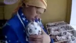 Невероятно - Женщина родила 10 детей за раз!!!