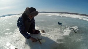 Ловля карася на Кресты, Самоловы, Перевертыши, Зимняя рыбалка
