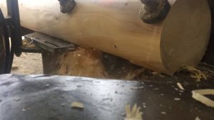 Выборка чаши в оцилиндрованном бревне