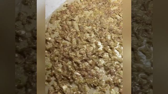 Невероятно вкусное блюда смотреть онлайн