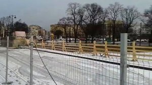 Утки у Петропавловской крепости