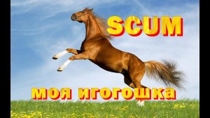 SCUM моя игогошка