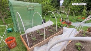 Размеры наших теплиц, грядок, дуг, пленки. Чем укрываем грядки. Отвечаем на вопросы в комментариях.