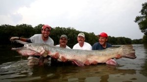 Самые Большие Уловы в Мире