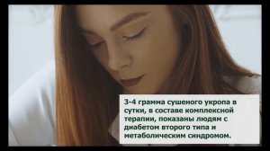 Укроп: недооцененная приправа. Польза укропа, состав и свойства. Как заготавливать и хранить укроп.