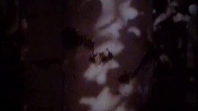 Туфан Миннуллин смотреть онлайн