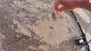 Рыбалка на чёрном море с пирса  Небуг  Пляж санатория Прометей  Ставридка