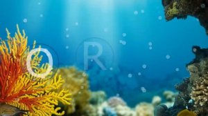 Underwater Animal ABC Song: Learn Letters and Animals
