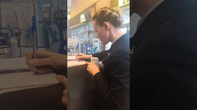 Аэропорт Внуково.