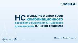 НС в анализе спектров комбинационного рассеяния и выделения КР-маркеров для выявления клеток глиомы