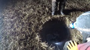 ОХОТА на ГУСЯ. Казахстан.