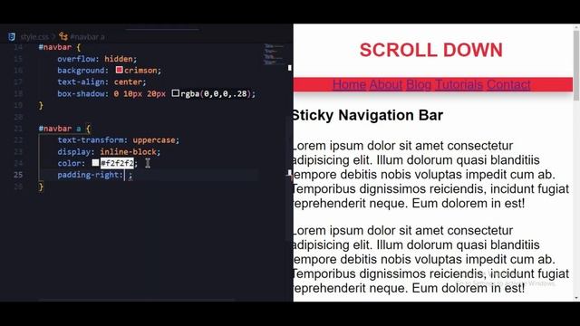 Sticky Navigation Bar Using HTML, CSS & JavaScript