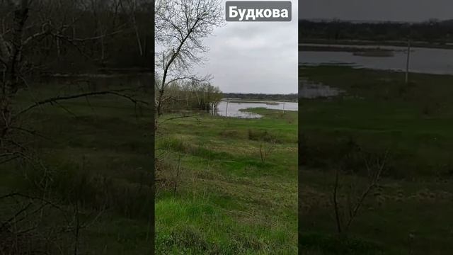 Будкова заполнило водой #рыбалка_в_каменском #рыбалка #fishing #verguntv #fish #весенний_клев