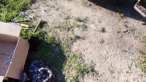 Поменял топливный насос у Т -25