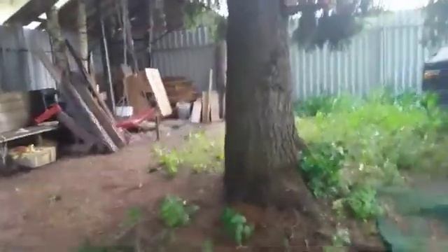 Garden Tour наших 2 участков + обзор бани смотреть онлайн