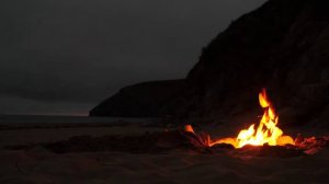 КАК ОПОЗНАТЬ НЕЗВАНОГО ГОСТЯ