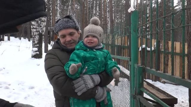 Лева зовет зубра кушать, кормит оленя, катается с горы смотреть онлайн