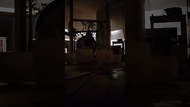 гонг и хрустальные чаши смотреть онлайн