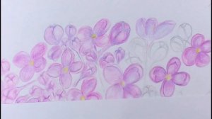 Веточка сирени карандашами// Sprig of lilac with pencils// Speed drawing