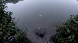 ЛОВЛЯ рыбы на ГОРОХ Подводная съёмка