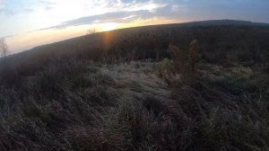 Ловим бобра на бобровую струю в КП 320