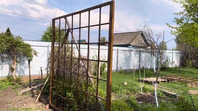 Шпалера для лимонника смотреть онлайн