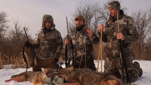 MIDWEST COYOTE DOUBLE, Best Calling Sequence смотреть онлайн